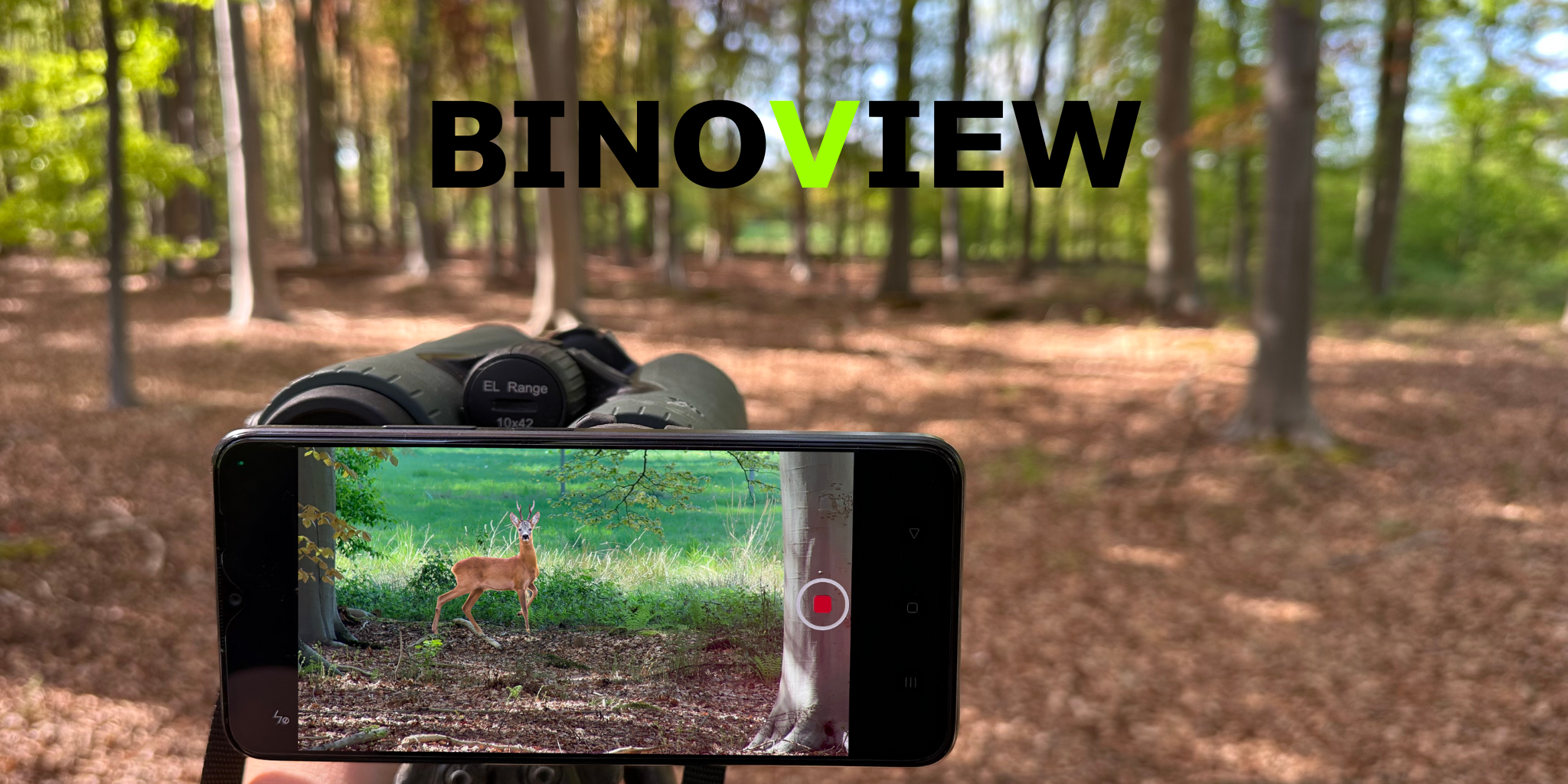 Smartphone bevestigd aan verrekijker met BINOVIEW-adapter toont een hert in het bos – perfect voorbeeld van digiscoping in de natuur.